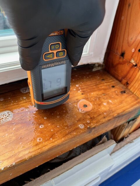 Revive Home Pros Water Damage, fire and mold