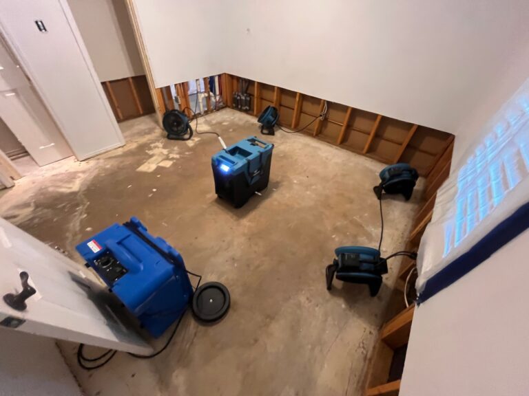 Revive Home Pros water damage