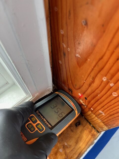 Revive Home Pros Restoration